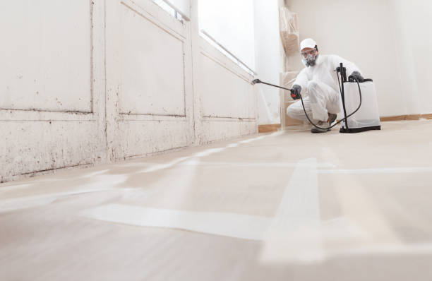 24/7 Emergency Commercial Mold Remediation experts in Louisville, GA